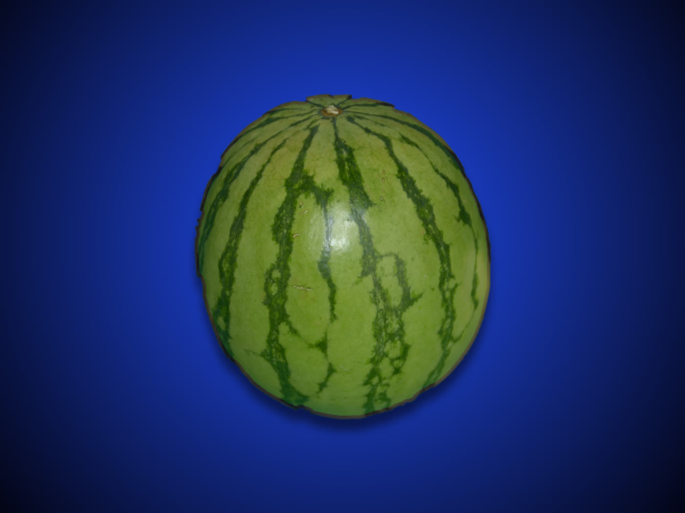Wassermelone auf blauem Verlauf